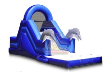Mini Dolphin Slide with Pool