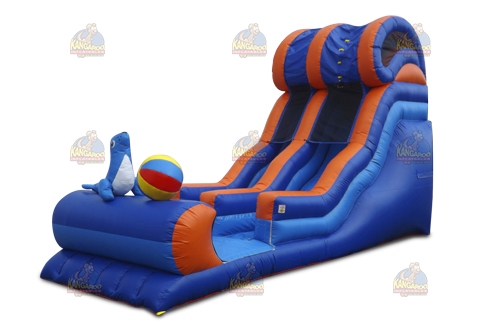 Blue Seal Wet n Dry Slide
