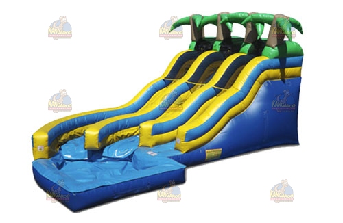 Tropical Dual Lane Slide